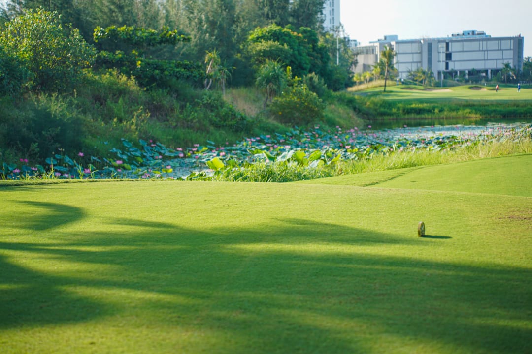 Sân Golf Đà Nẵng Đẹp Mê Hồn Với Khung Cảnh Thiên Nhiên Tuyệt Vời