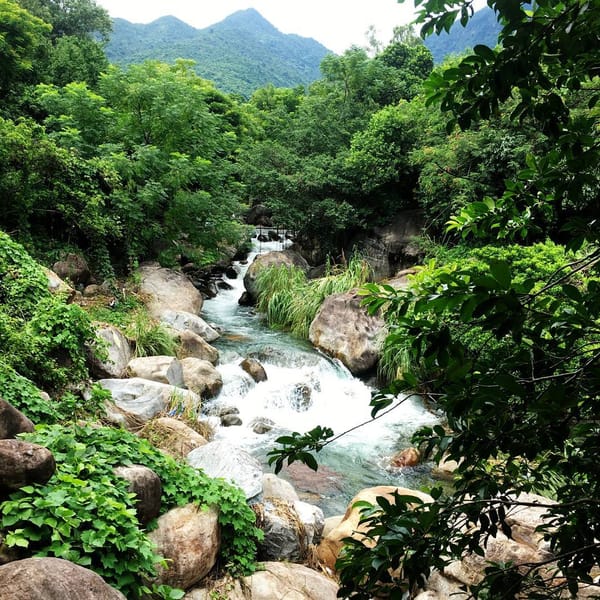 Suối Lương Đà Nẵng – Điểm đến xanh mát lý tưởng giữa lòng thiên nhiên